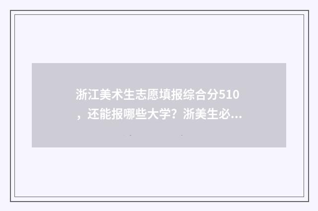 浙江美术生志愿填报综合分510，还能报哪些大学？浙美生必看！ 浙江美术生志愿填报