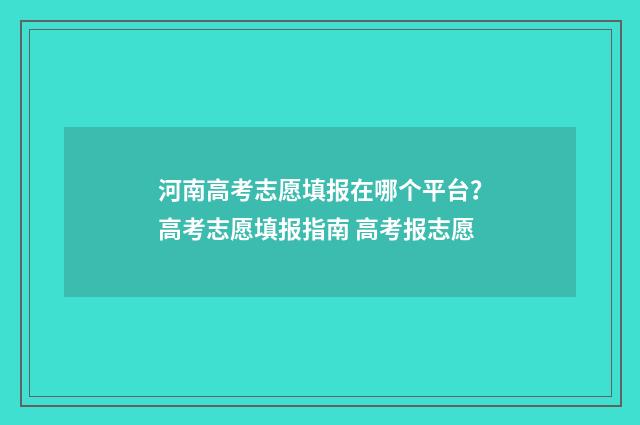 河南高考志愿填报在哪个平台？高考志愿填报指南 高考报志愿