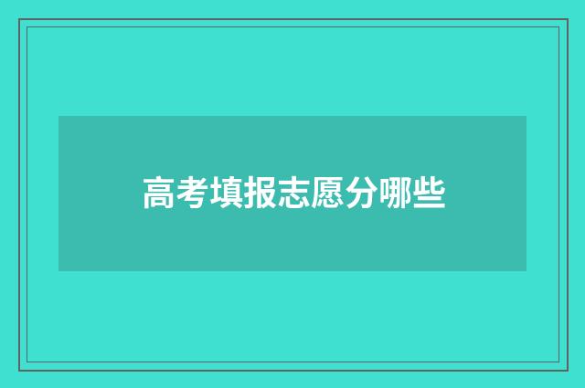 高考填报志愿分哪些