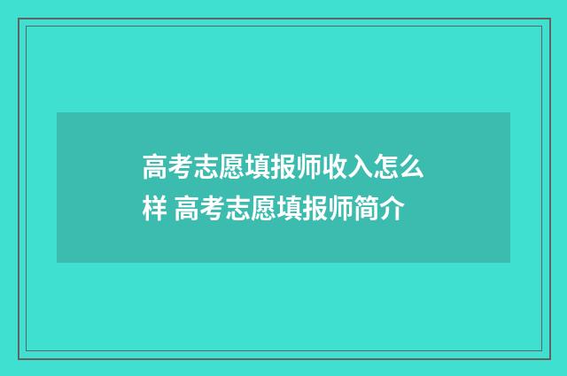 高考志愿填报师收入怎么样 高考志愿填报师简介