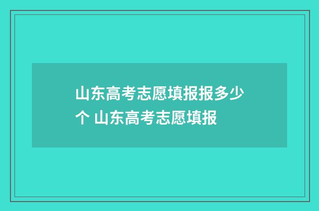 山东高考志愿填报报多少个 山东高考志愿填报