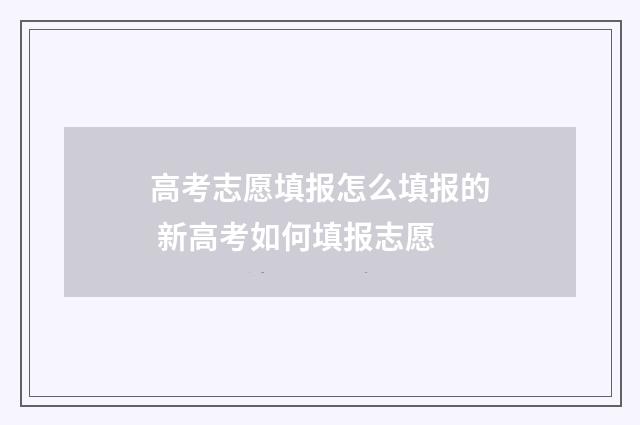 高考志愿填报怎么填报的 新高考如何填报志愿