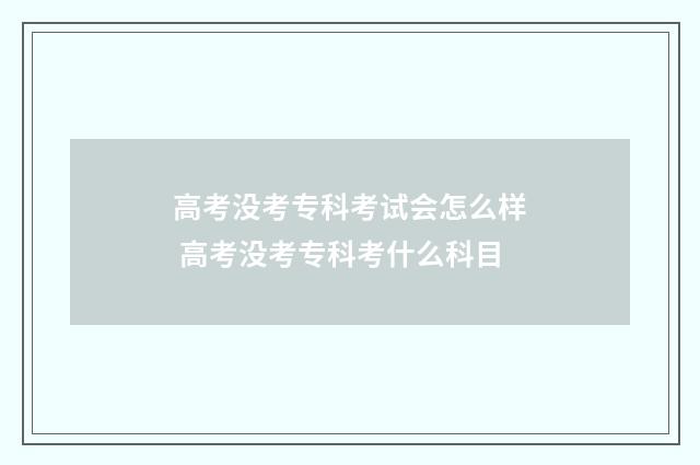 高考没考专科考试会怎么样 高考没考专科考什么科目
