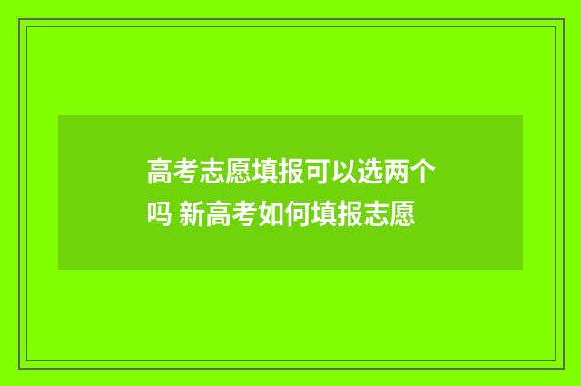 高考志愿填报可以选两个吗 新高考如何填报志愿