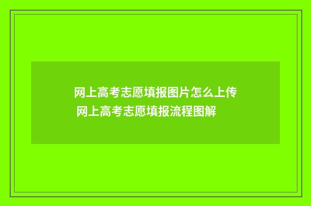 网上高考志愿填报图片怎么上传 网上高考志愿填报流程图解