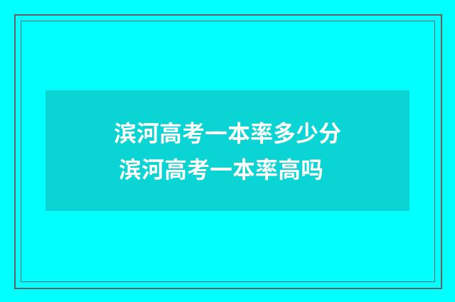 滨河高考一本率多少分 滨河高考一本率高吗