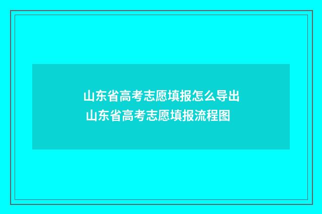 山东省高考志愿填报怎么导出 山东省高考志愿填报流程图