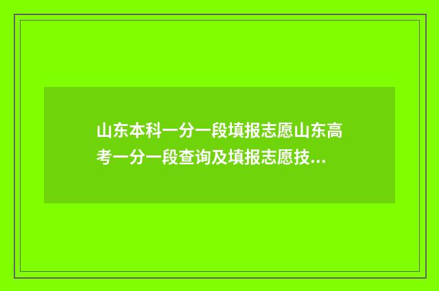 山东本科一分一段填报志愿山东高考一分一段查询及填报志愿技巧 山东本科2021一分一段表