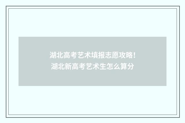 湖北高考艺术填报志愿攻略！ 湖北新高考艺术生怎么算分