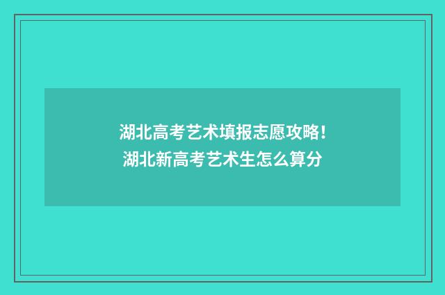 湖北高考艺术填报志愿攻略！ 湖北新高考艺术生怎么算分