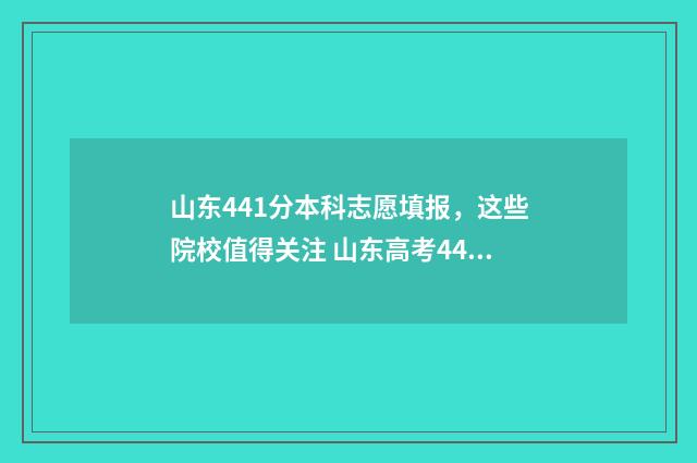 山东441分本科志愿填报，这些院校值得关注 山东高考441分上什么大学2021