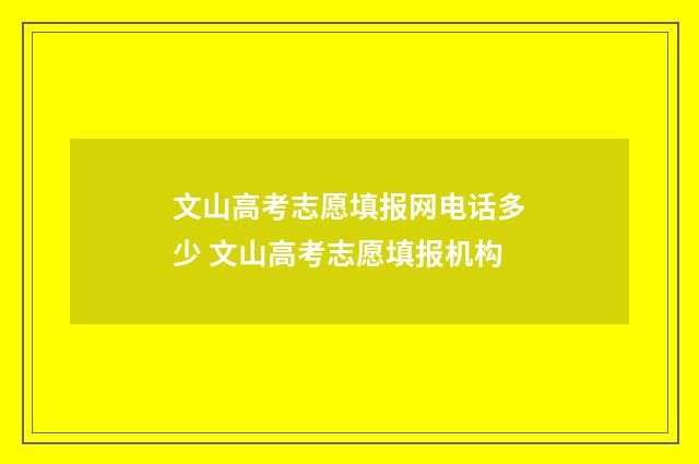 文山高考志愿填报网电话多少 文山高考志愿填报机构