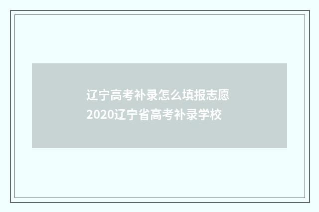 辽宁高考补录怎么填报志愿 2020辽宁省高考补录学校