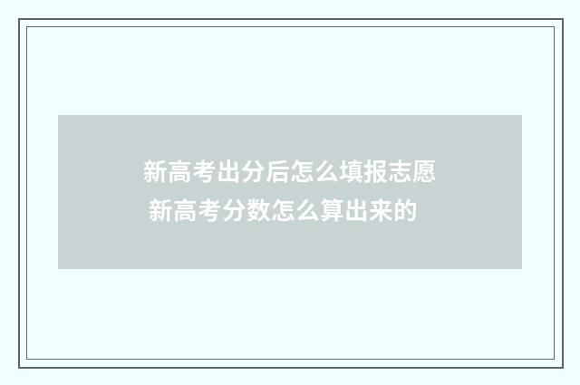 新高考出分后怎么填报志愿 新高考分数怎么算出来的