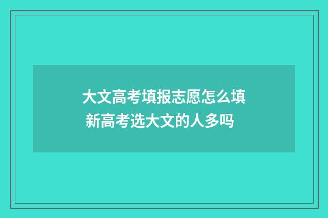 大文高考填报志愿怎么填 新高考选大文的人多吗