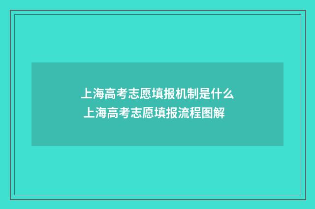 上海高考志愿填报机制是什么 上海高考志愿填报流程图解