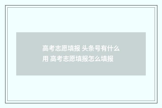 高考志愿填报 头条号有什么用 高考志愿填报怎么填报