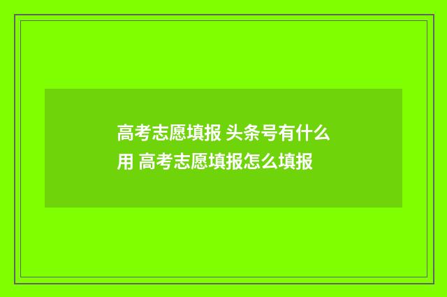 高考志愿填报 头条号有什么用 高考志愿填报怎么填报