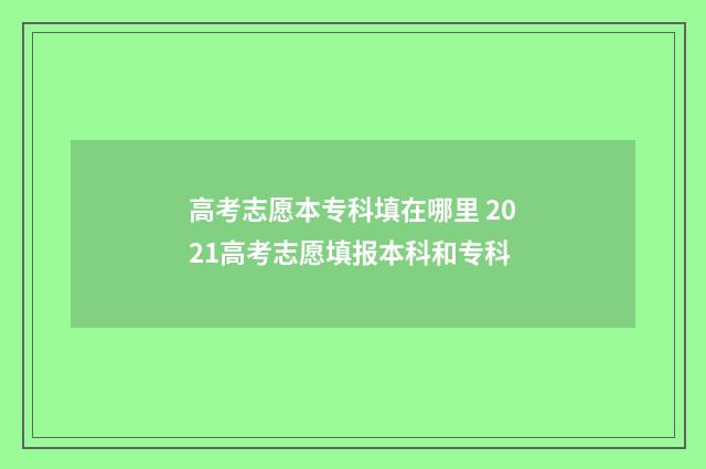 高考志愿本专科填在哪里 2021高考志愿填报本科和专科