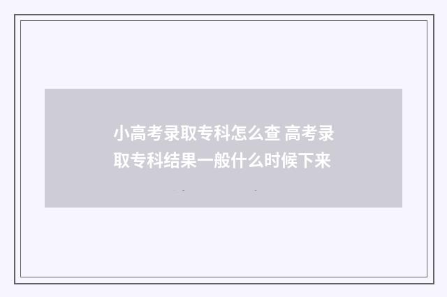 小高考录取专科怎么查 高考录取专科结果一般什么时候下来