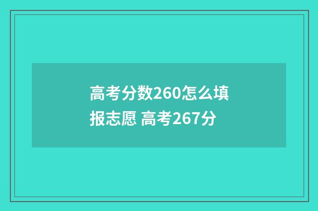 高考分数260怎么填报志愿 高考267分