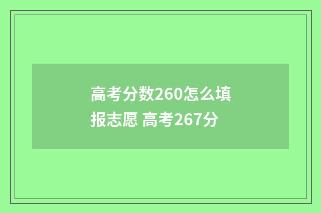 高考分数260怎么填报志愿 高考267分