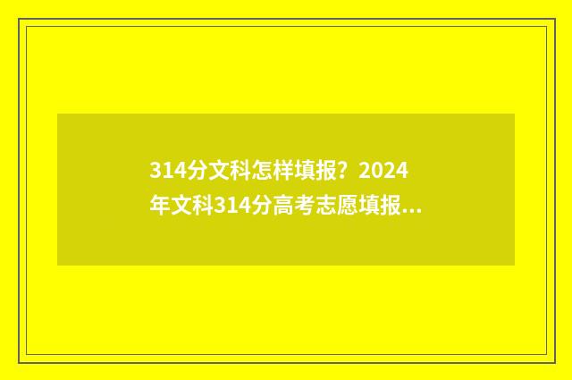 314分文科怎样填报？2024年文科314分高考志愿填报模拟 文科343
