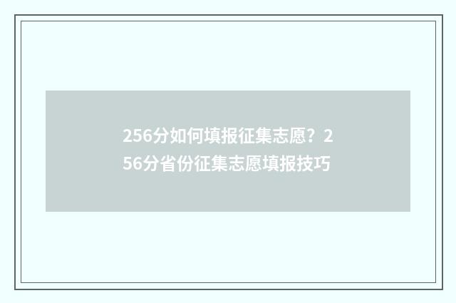 256分如何填报征集志愿？256分省份征集志愿填报技巧