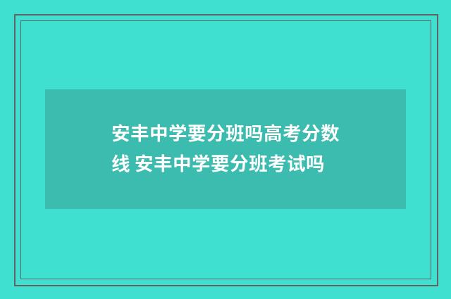 安丰中学要分班吗高考分数线 安丰中学要分班考试吗