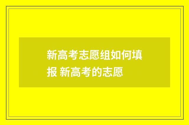 新高考志愿组如何填报 新高考的志愿