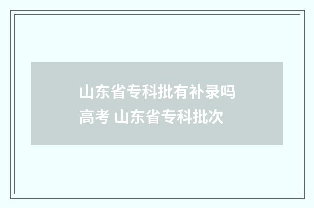 山东省专科批有补录吗高考 山东省专科批次