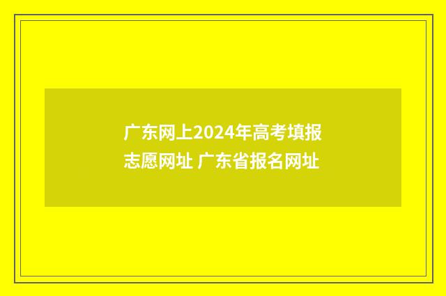 广东网上2024年高考填报志愿网址 广东省报名网址