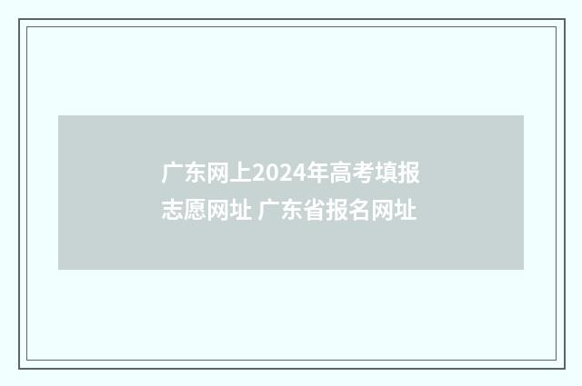 广东网上2024年高考填报志愿网址 广东省报名网址