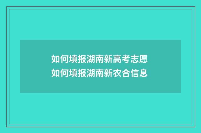 如何填报湖南新高考志愿 如何填报湖南新农合信息