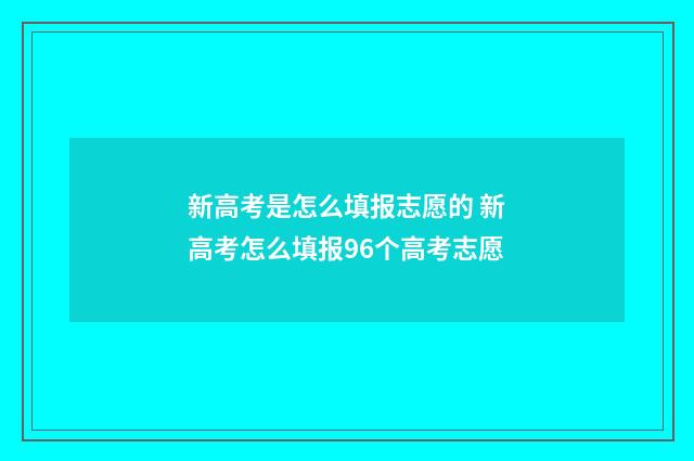 新高考是怎么填报志愿的 新高考怎么填报96个高考志愿