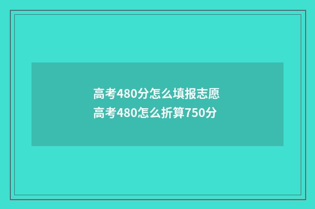 高考480分怎么填报志愿 高考480怎么折算750分