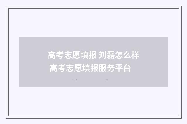 高考志愿填报 刘磊怎么样 高考志愿填报服务平台