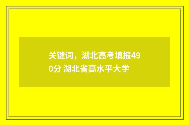 关键词，湖北高考填报490分 湖北省高水平大学