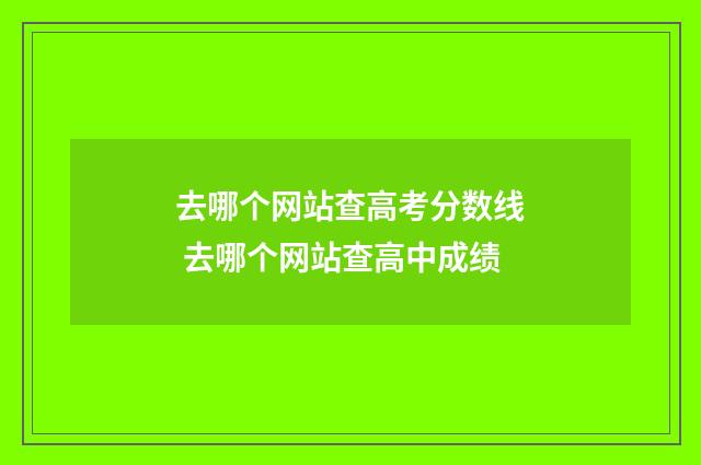 去哪个网站查高考分数线 去哪个网站查高中成绩