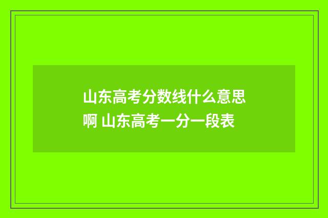山东高考分数线什么意思啊 山东高考一分一段表