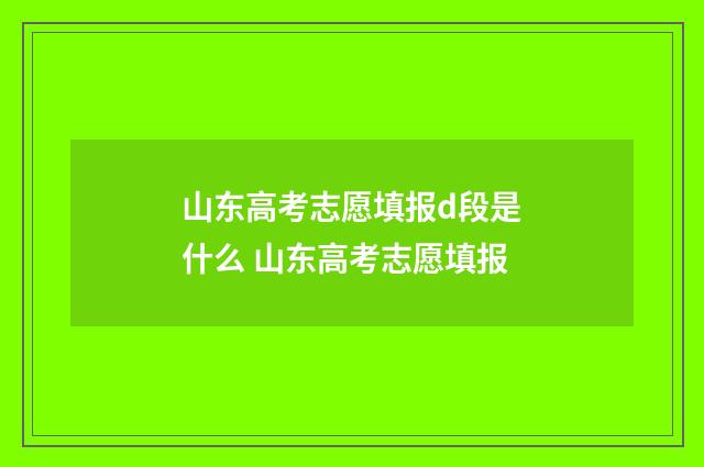 山东高考志愿填报d段是什么 山东高考志愿填报