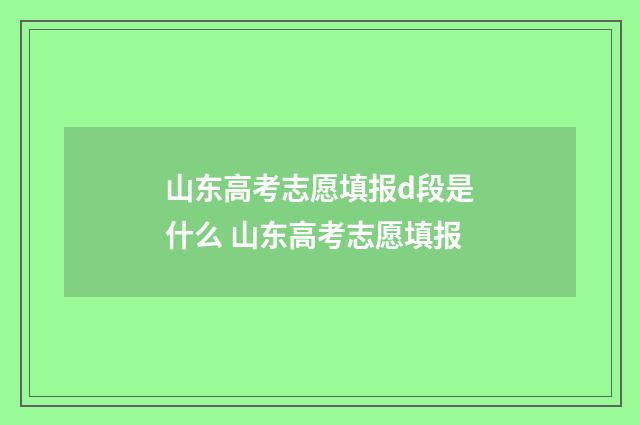 山东高考志愿填报d段是什么 山东高考志愿填报