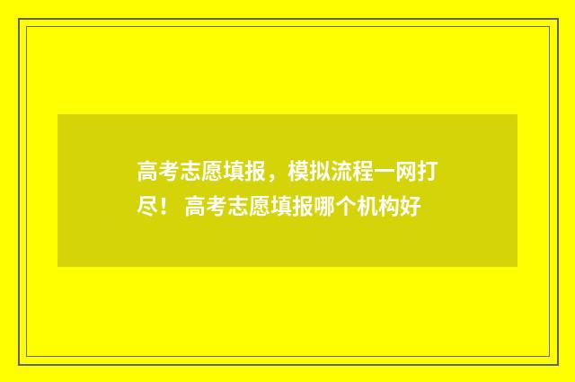 高考志愿填报，模拟流程一网打尽！ 高考志愿填报哪个机构好