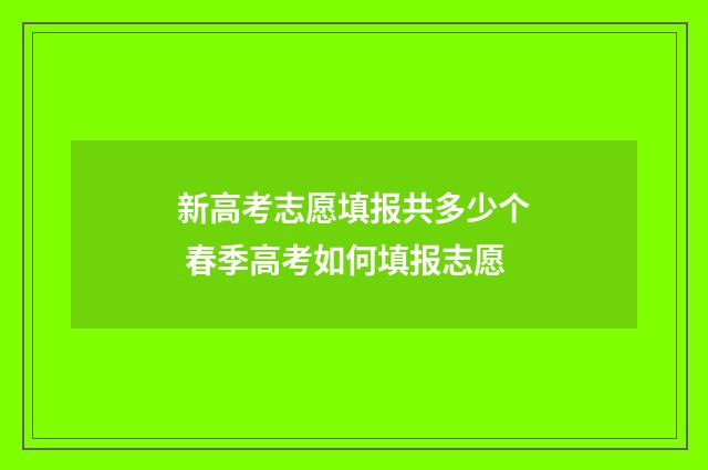 新高考志愿填报共多少个 春季高考如何填报志愿