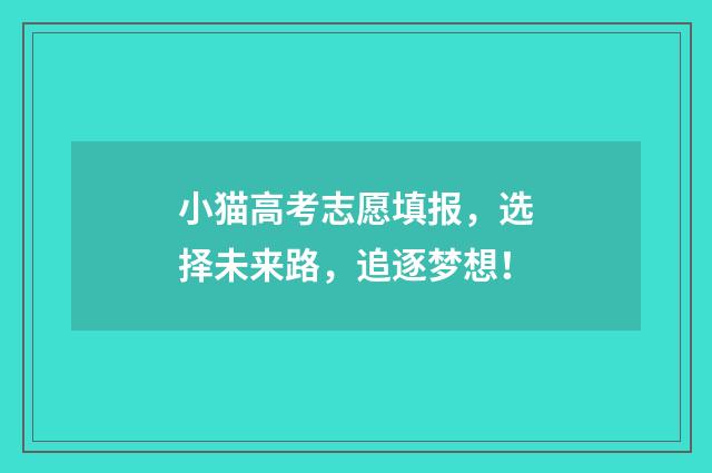 小猫高考志愿填报，选择未来路，追逐梦想！