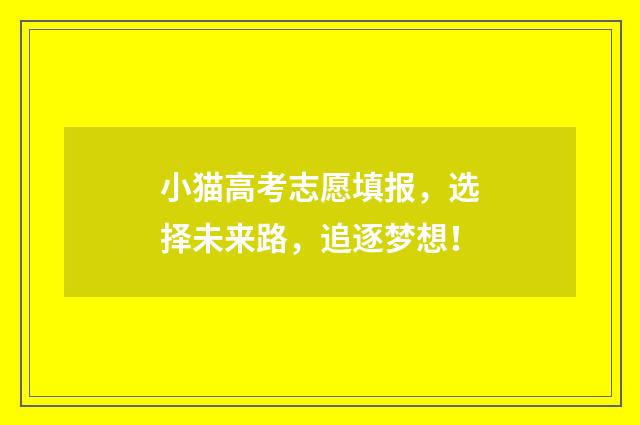 小猫高考志愿填报，选择未来路，追逐梦想！
