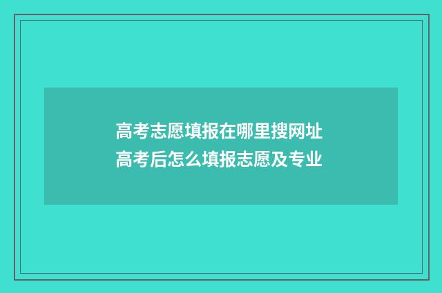 高考志愿填报在哪里搜网址 高考后怎么填报志愿及专业