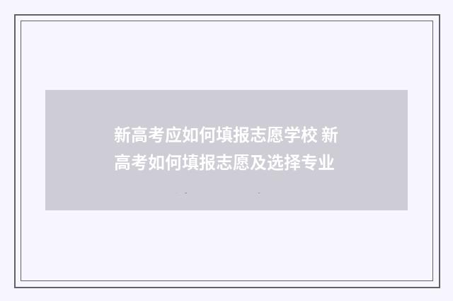 新高考应如何填报志愿学校 新高考如何填报志愿及选择专业