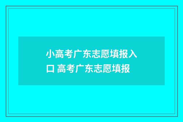 小高考广东志愿填报入口 高考广东志愿填报