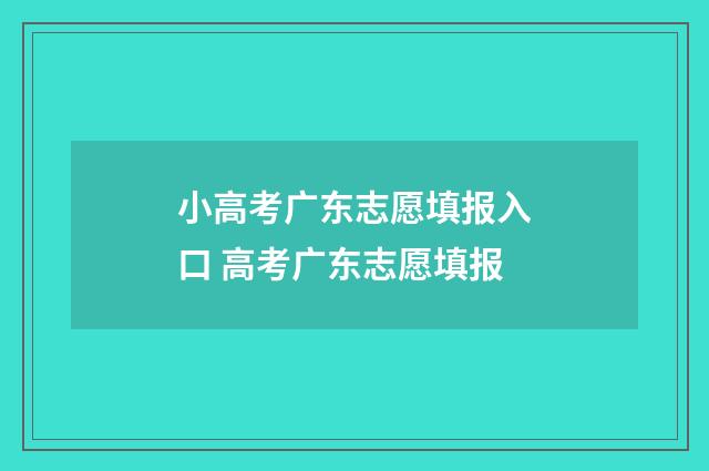 小高考广东志愿填报入口 高考广东志愿填报